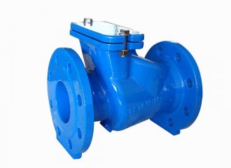 Check valve